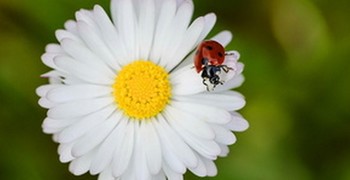 «Человек, который нас удивил»! Как хорошо, что эта прекрасная церемония прижилась в нашем коллективе