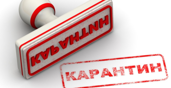 Информация о «горячей линии»