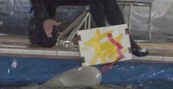 К сожалению, День рождения только раз в году! И отметили его третьеклассники супер интересно и весело!