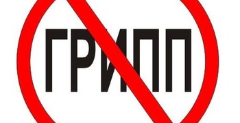 О гриппе и его профилактике